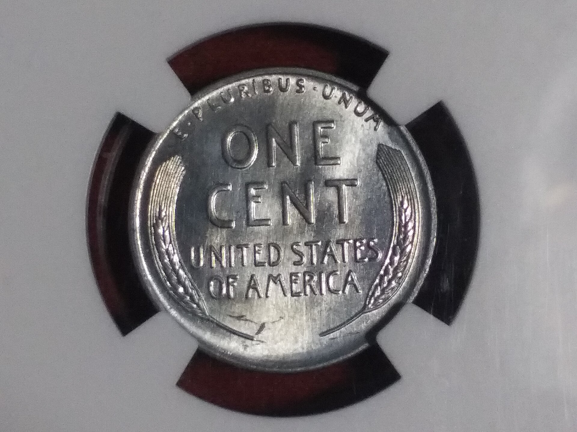 20220305_195920.jpg