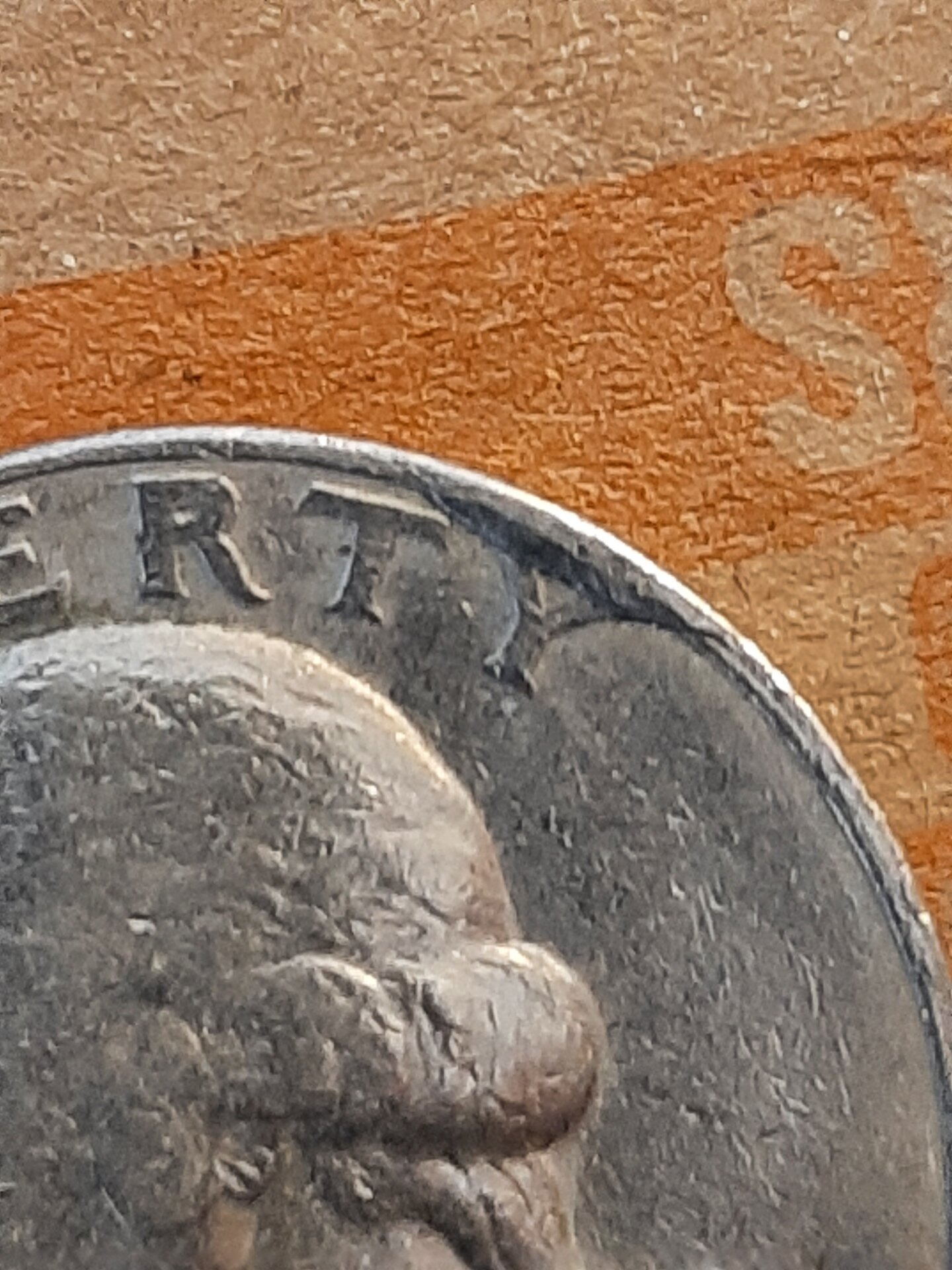 20220307_130119.jpg