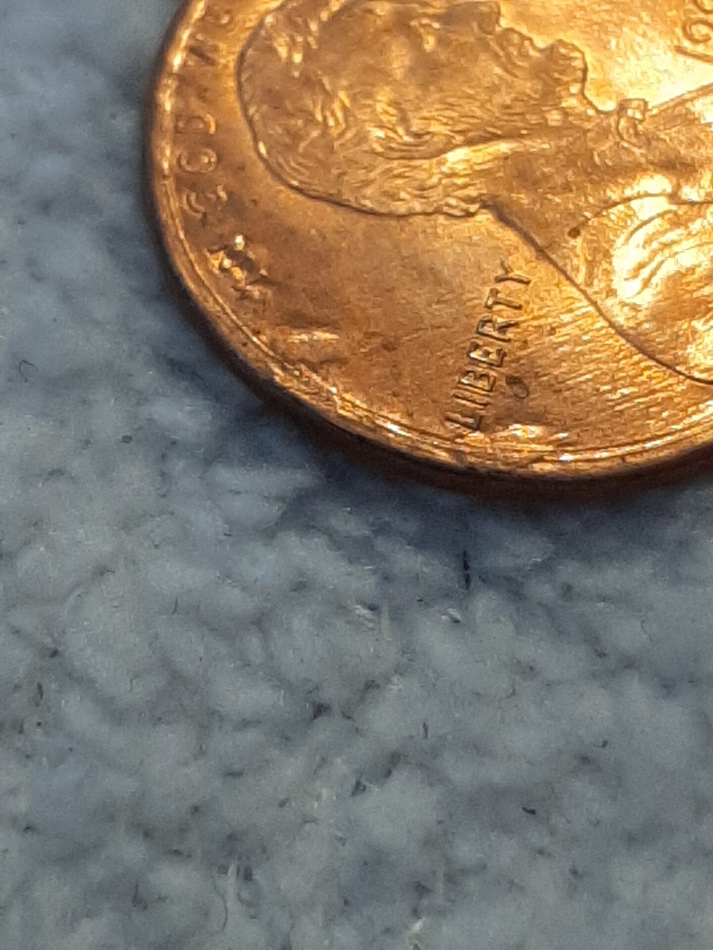 20220315_160359.jpg