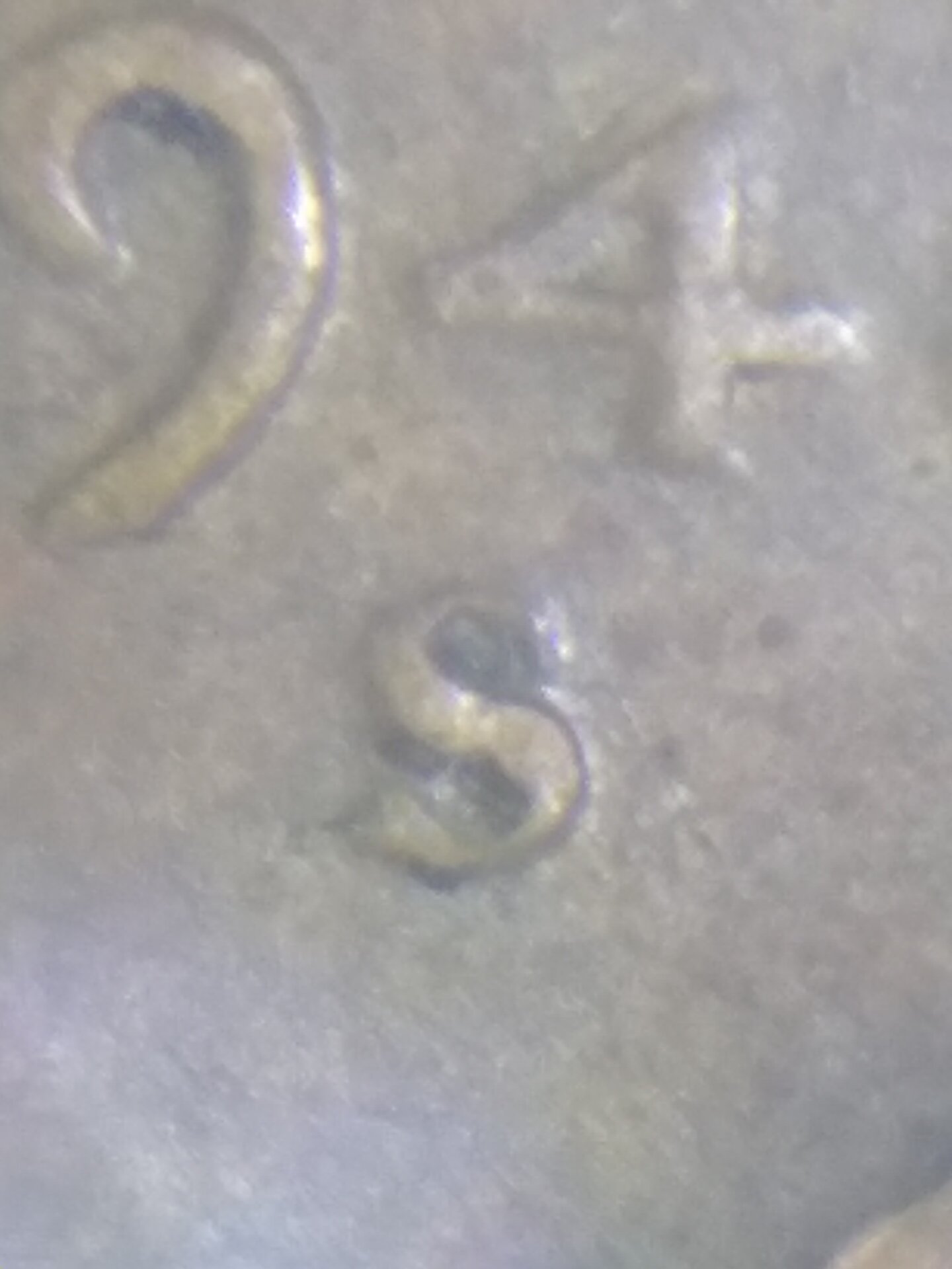 20220317_151627.jpg