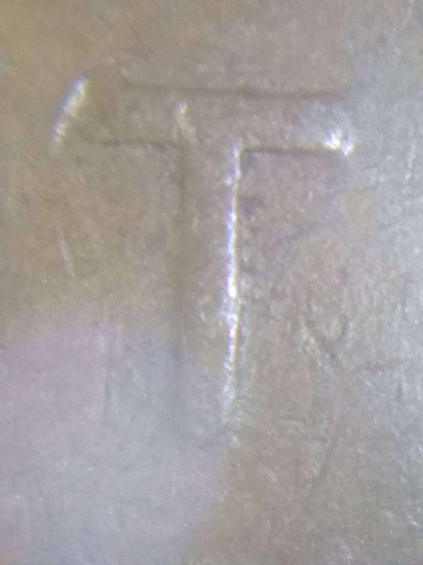 20220317_190013.jpg