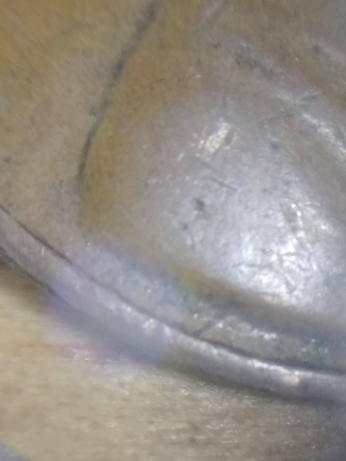 20220317_190146.jpg