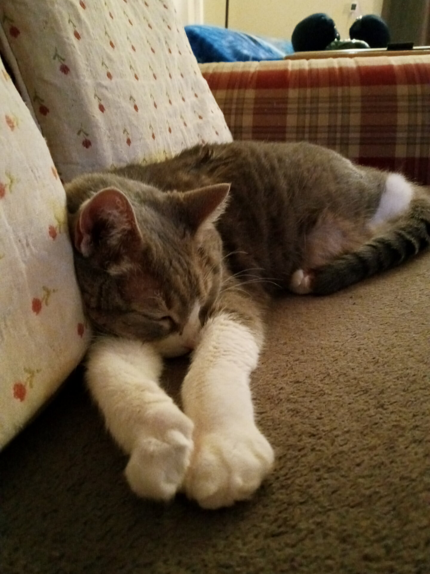 20220319_143530_HDR.jpg