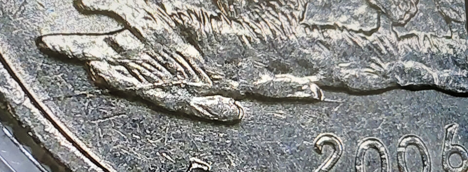20220327_110207.jpg