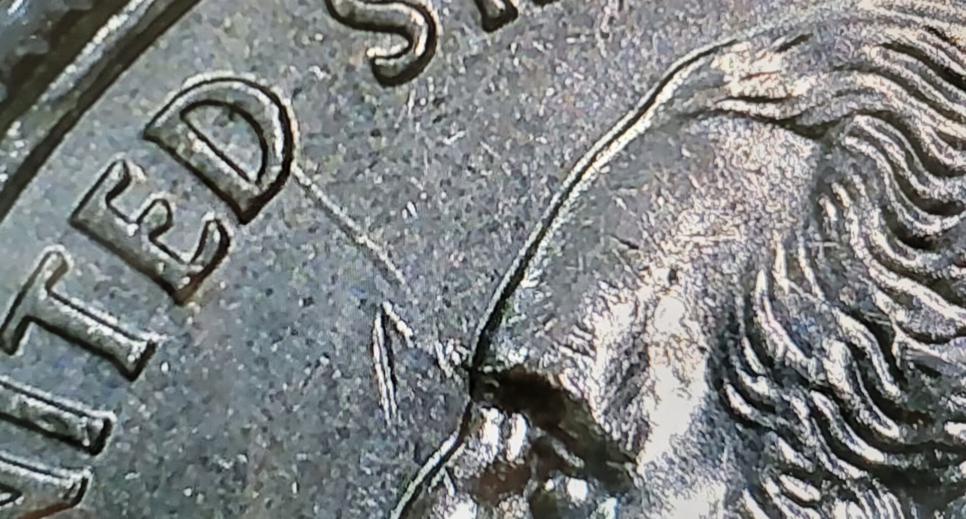 20220327_110334.jpg