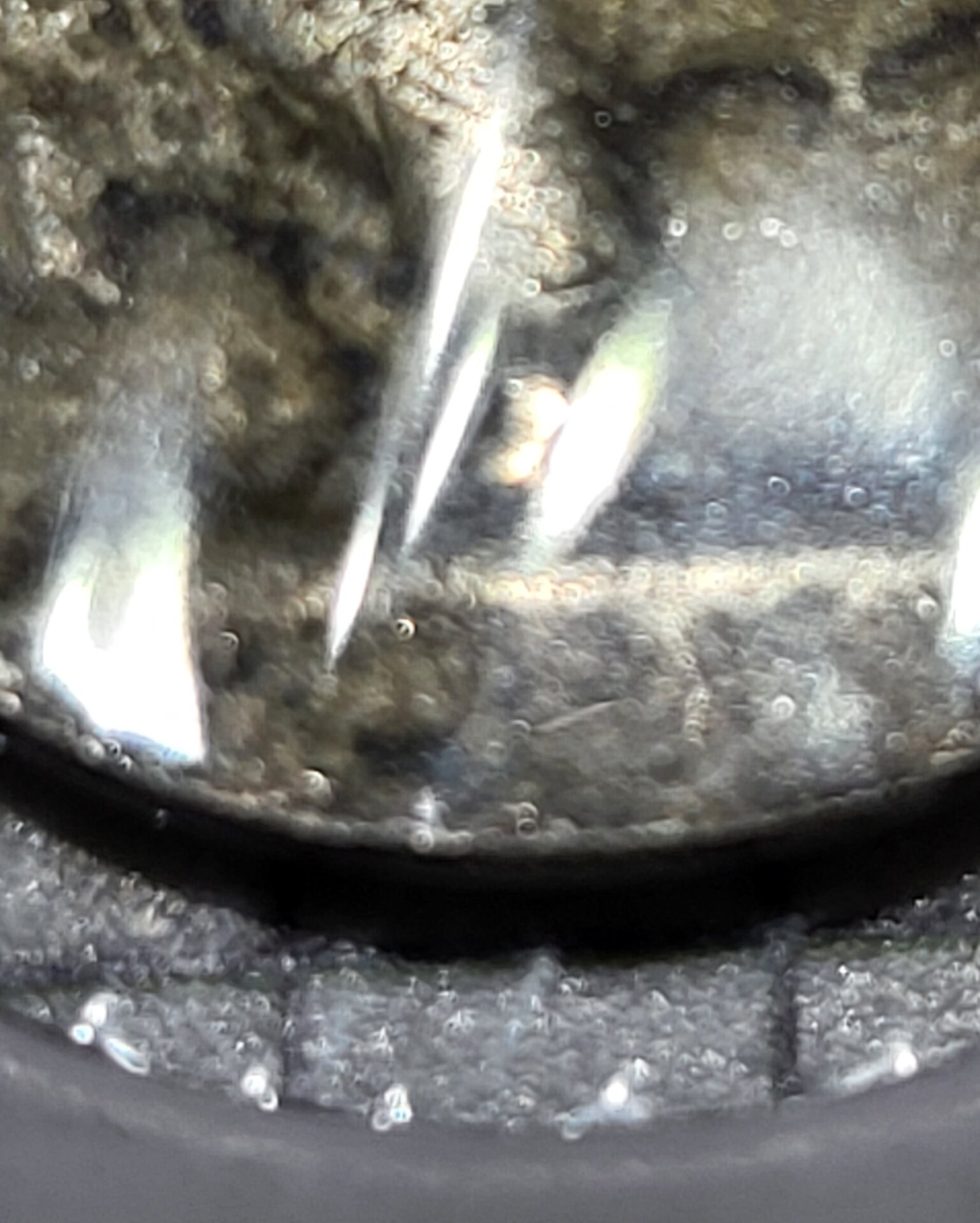 20220402_135836.jpg
