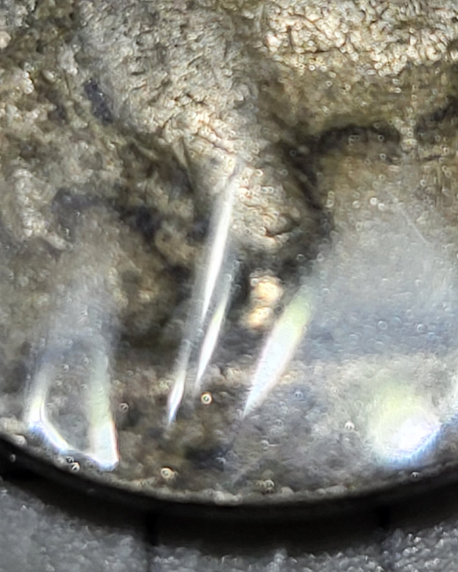 20220402_135844.jpg