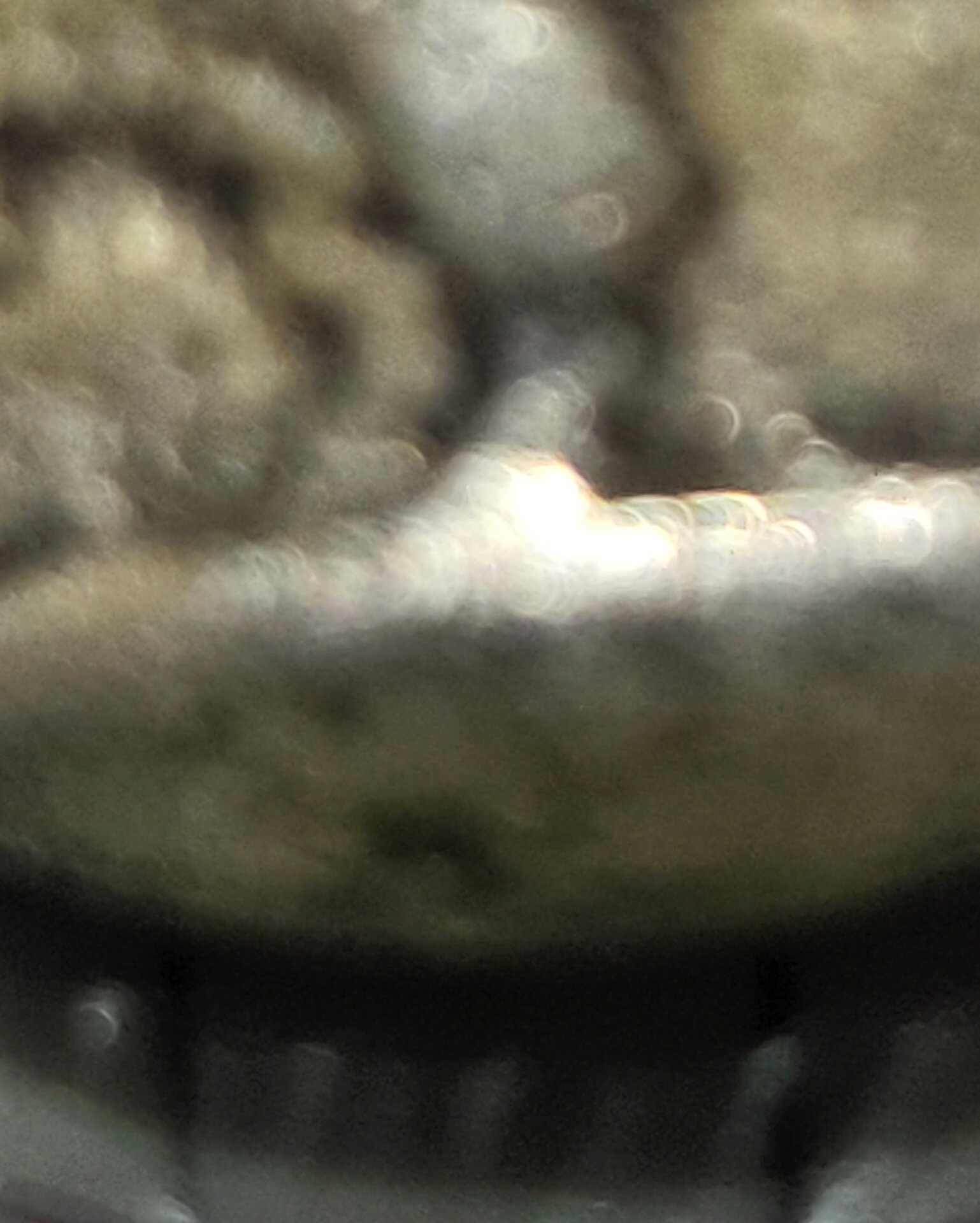 20220402_135947.jpg