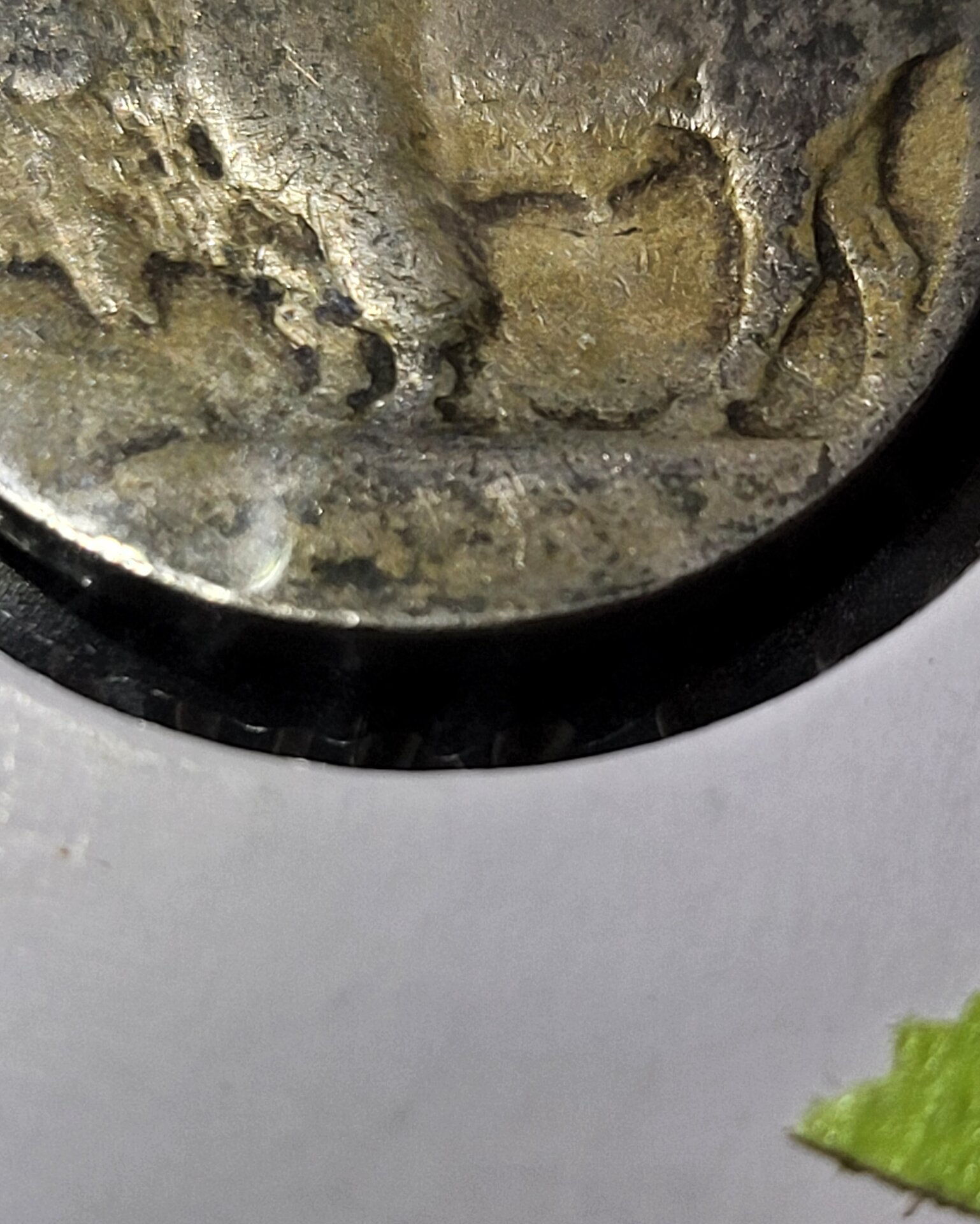 20220402_142719.jpg