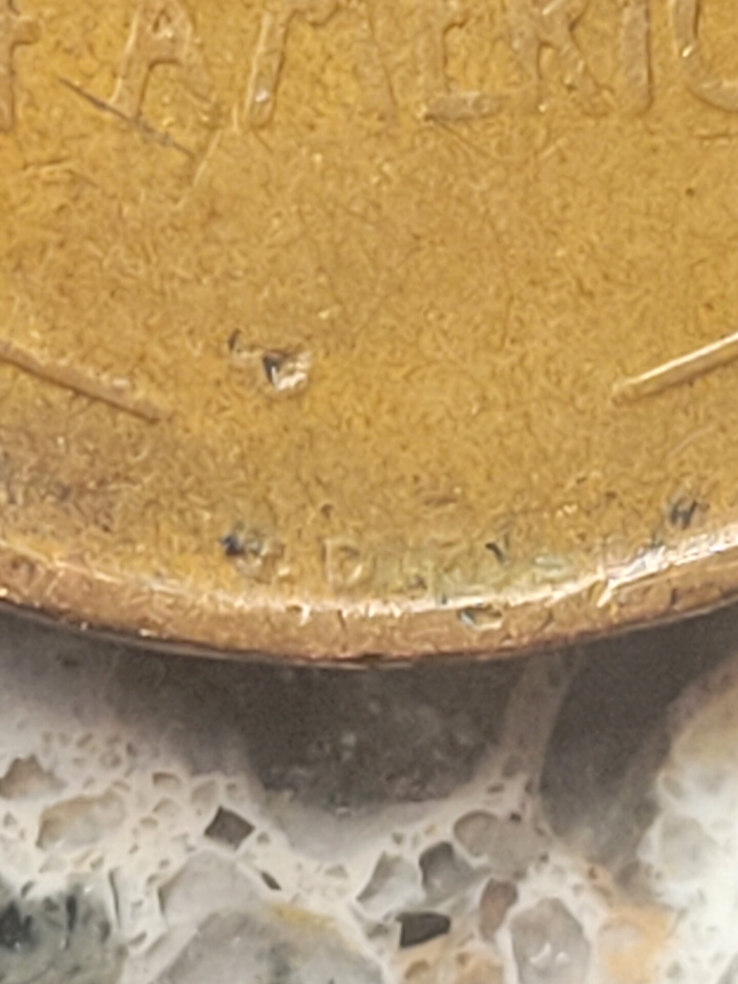 20220405_165328.jpg