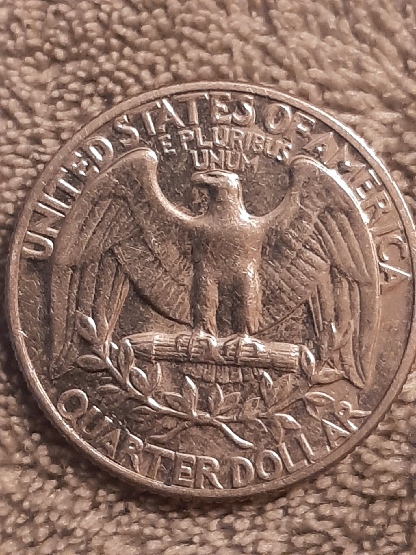 20220405_194129.jpg