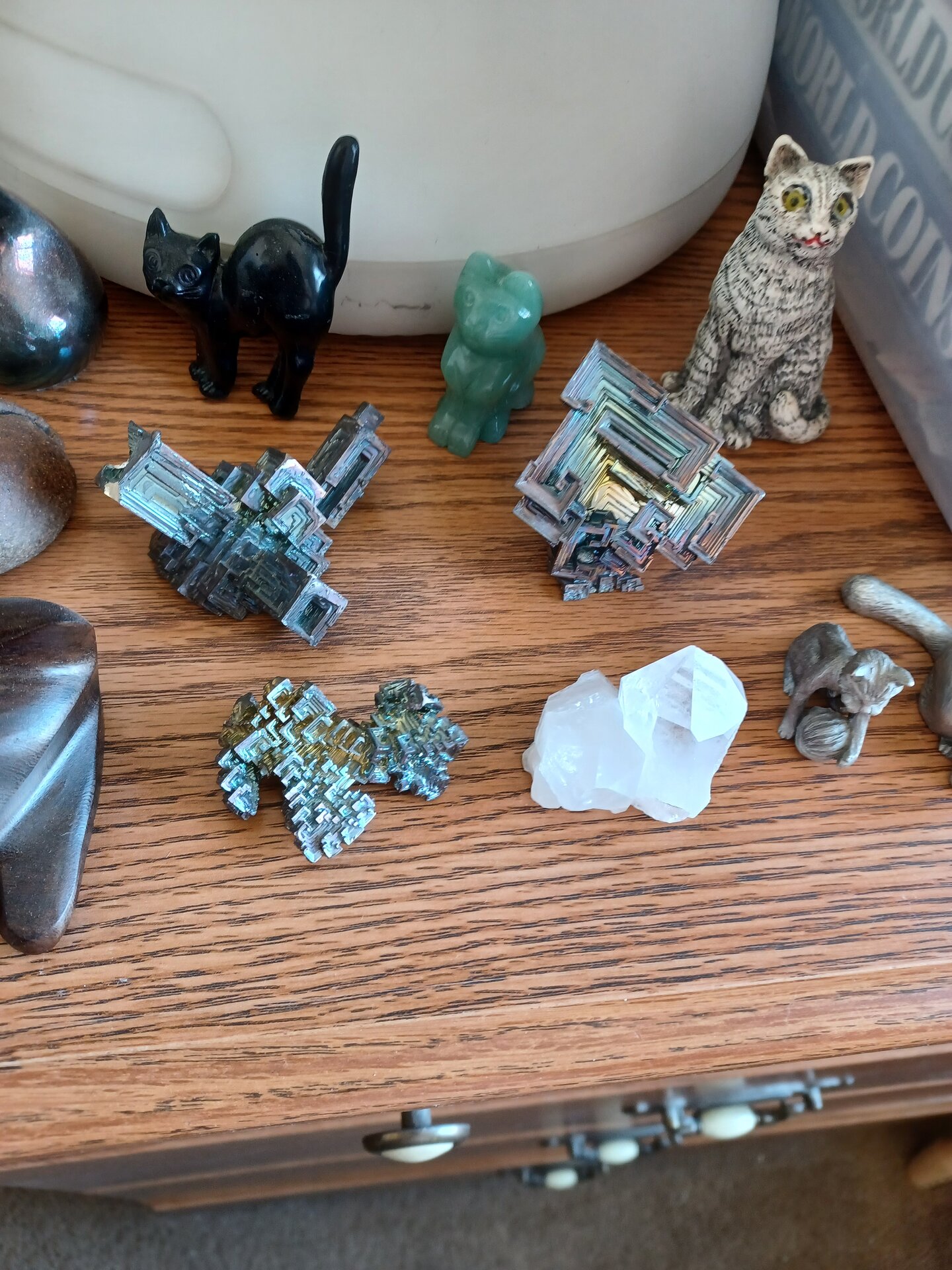 20220409_114833.jpg