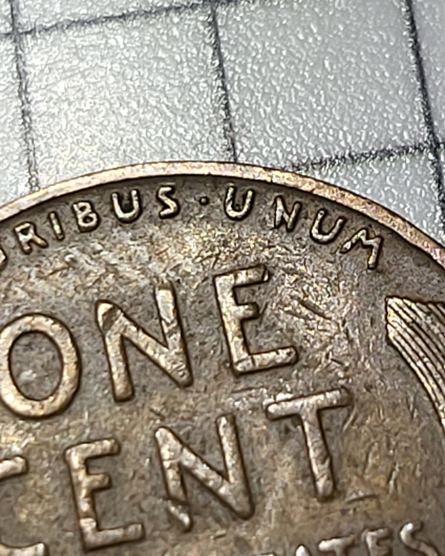 20220417_111144.jpg