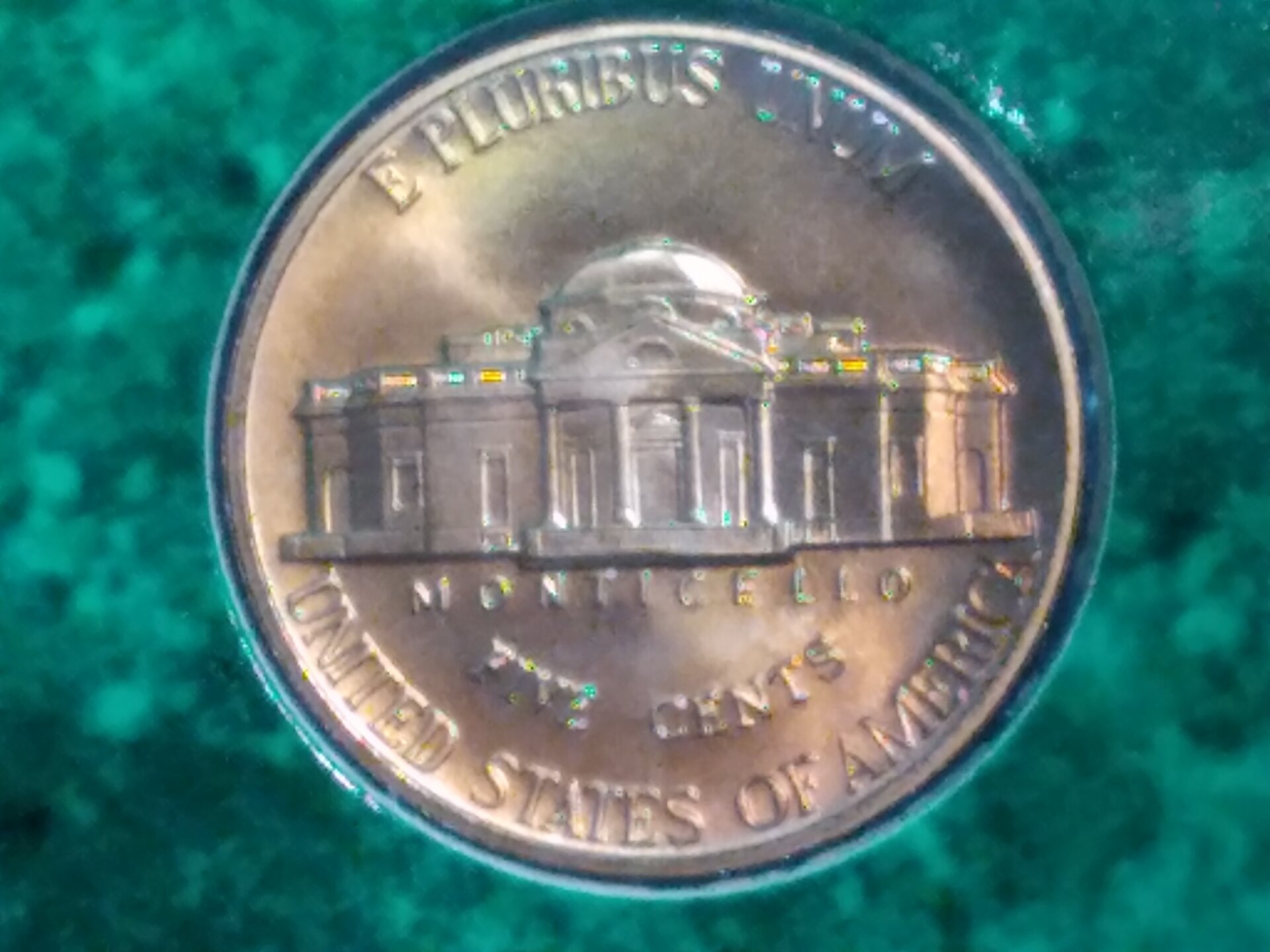 20220420_161950.jpg