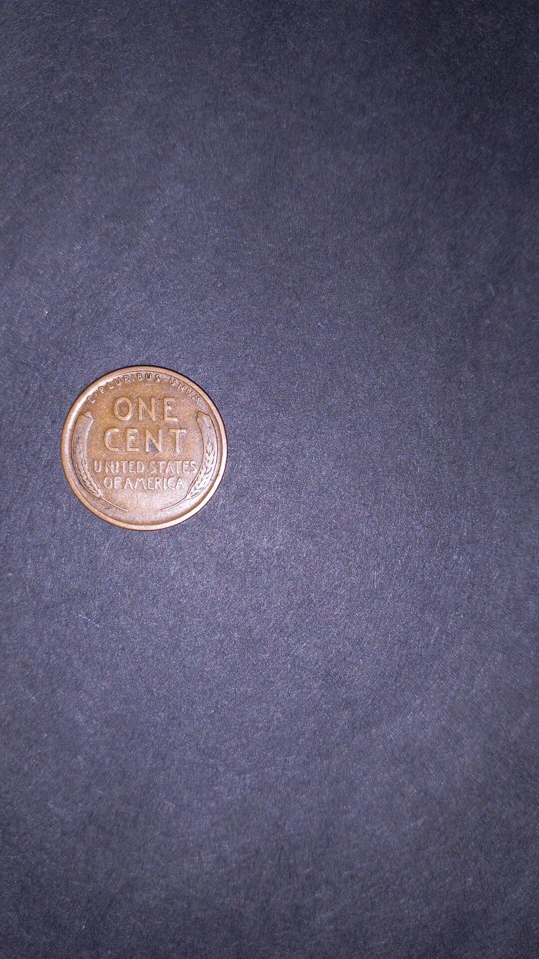 20220425_230449.jpg