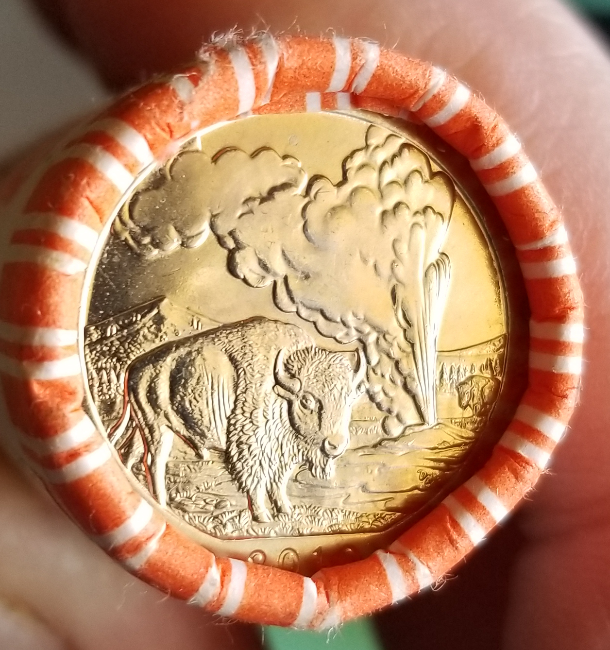 20220430_153105.jpg