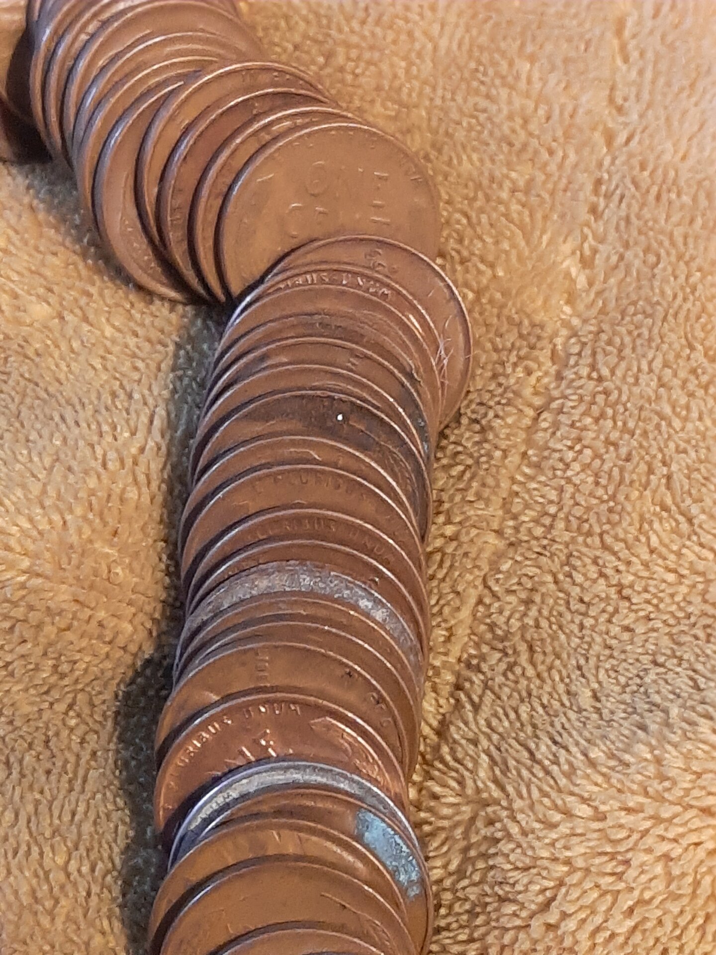 20220503_150410.jpg