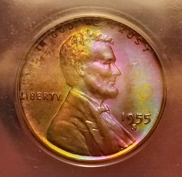 20220507_120119 crop.jpg