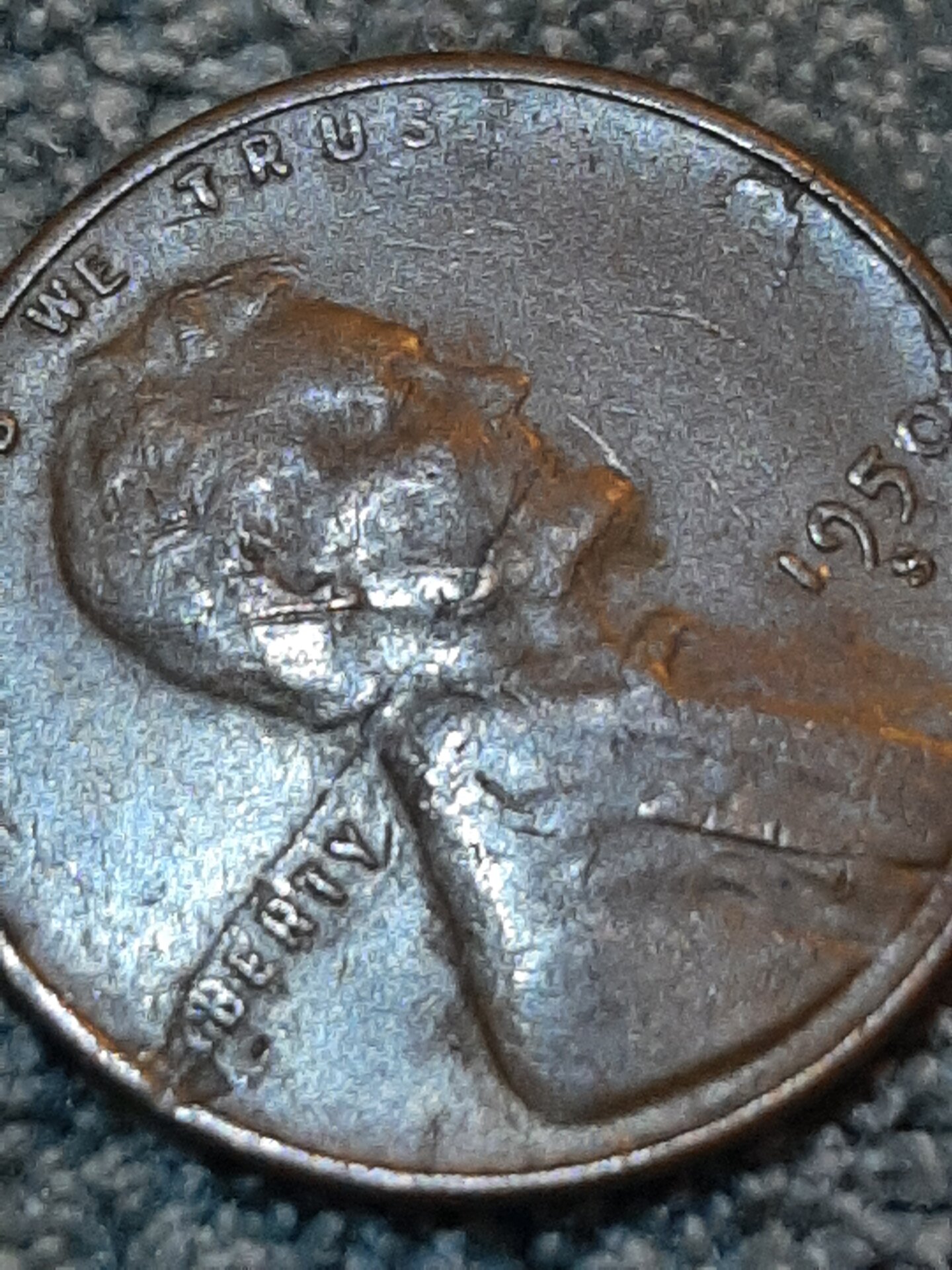 20220510_115517.jpg