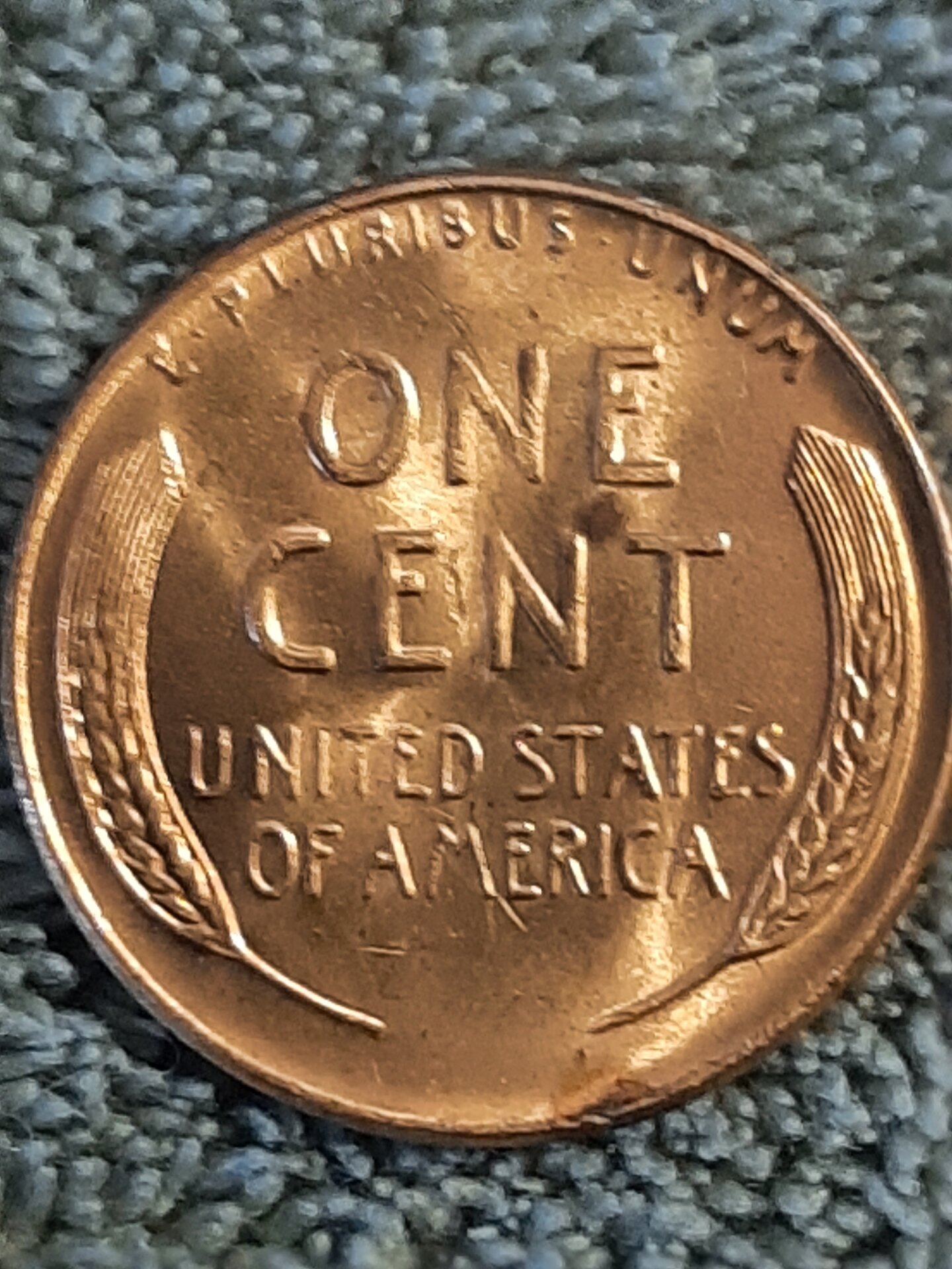 20220511_182825.jpg