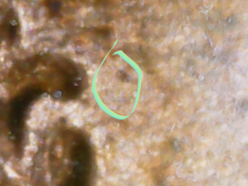 20220518_16_31_33.png