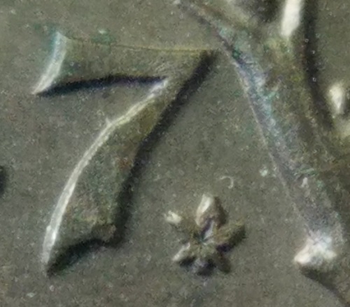 20220527_085943.jpg