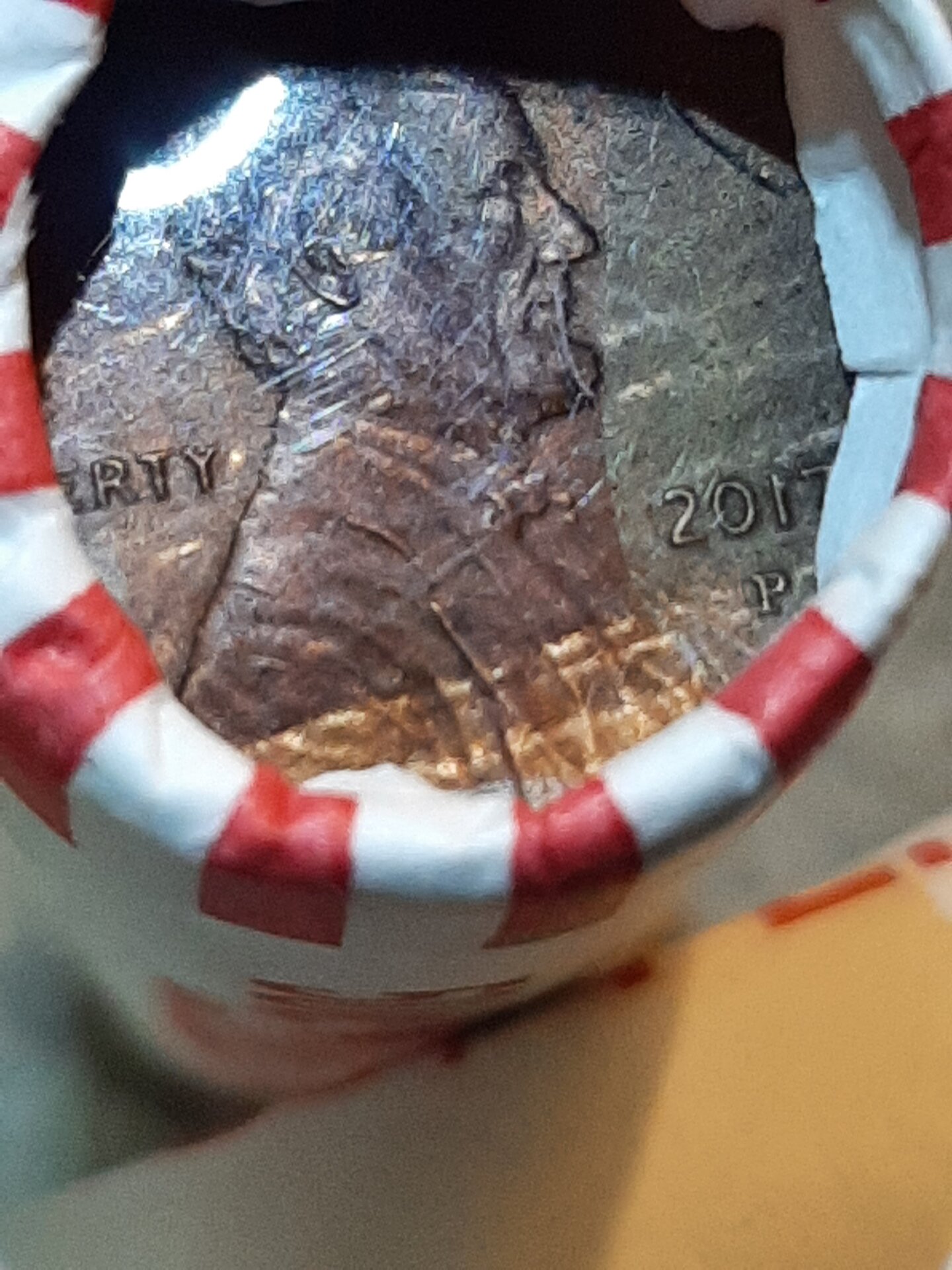 20220527_103528.jpg