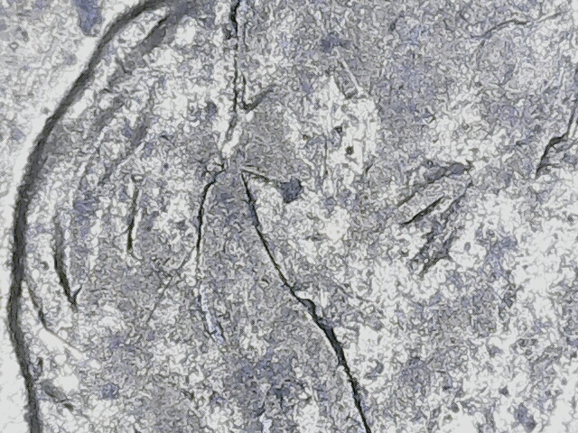 20220608_08_49_50.png