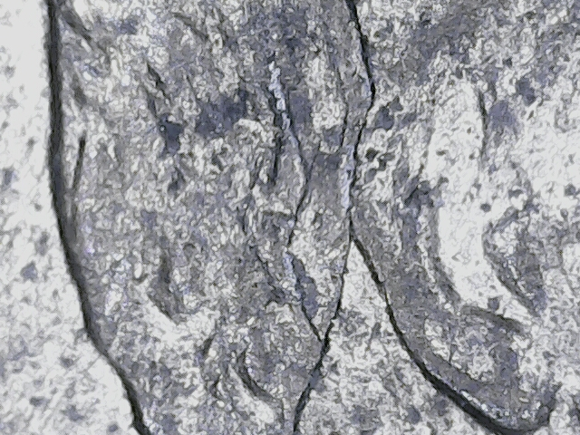 20220608_08_50_27.png