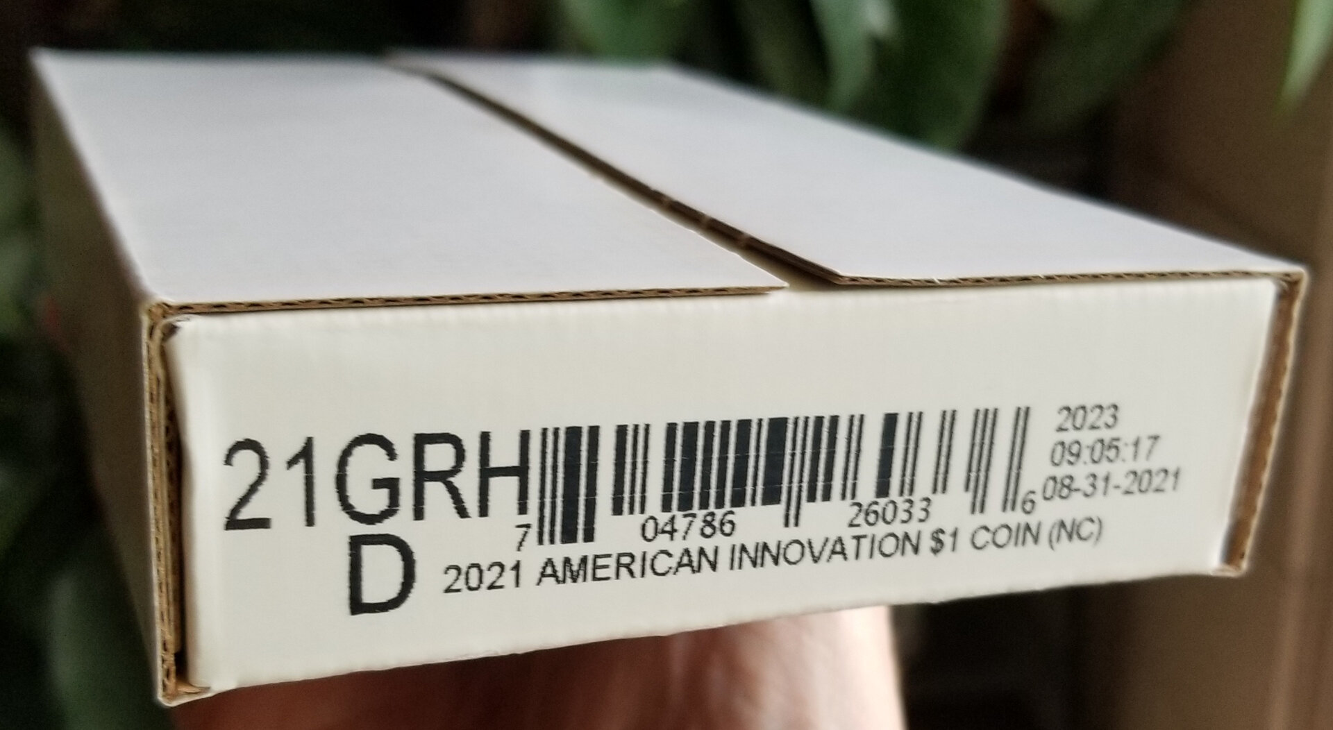 20220609_170445.jpg