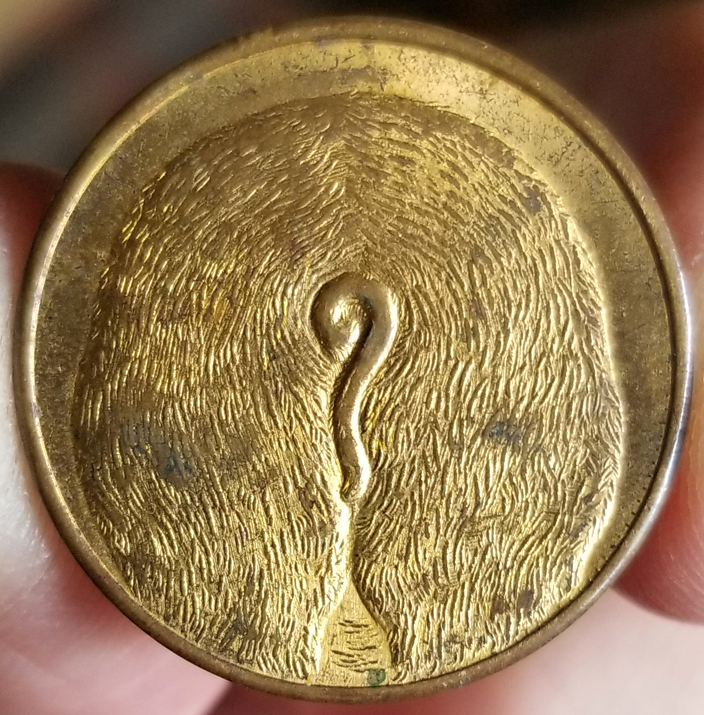 20220621_173917.jpg