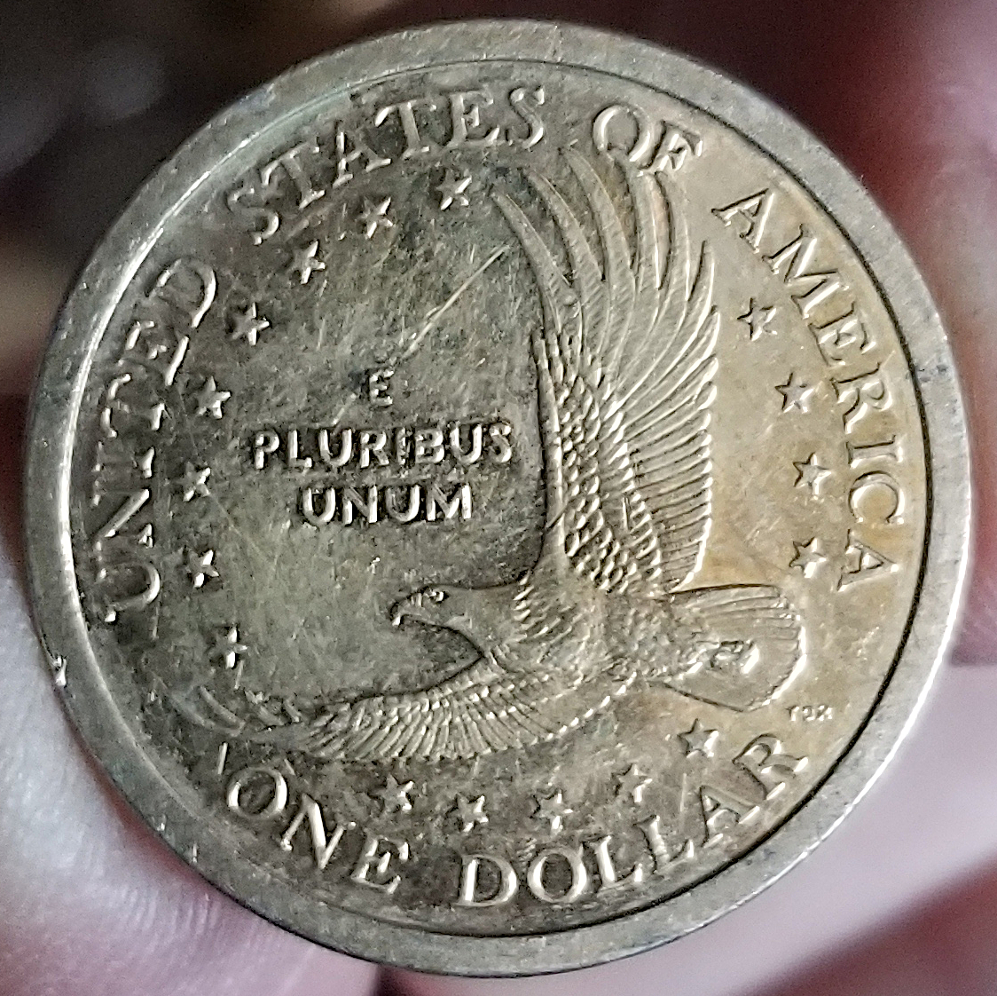 20220624_170603.jpg