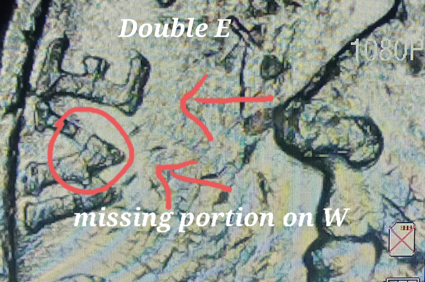 20220624_201940.jpg