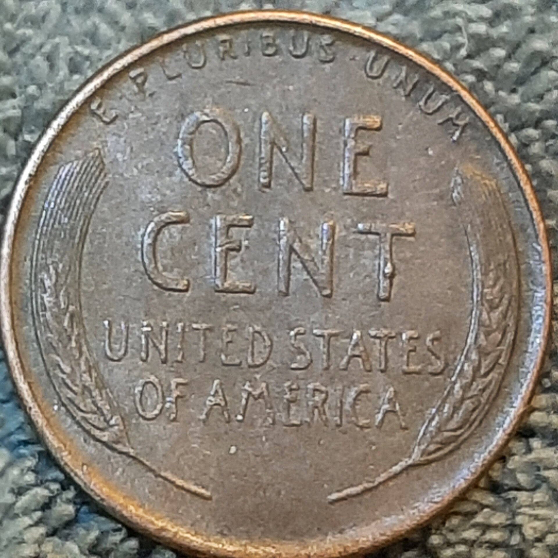 20220627_151450.jpg