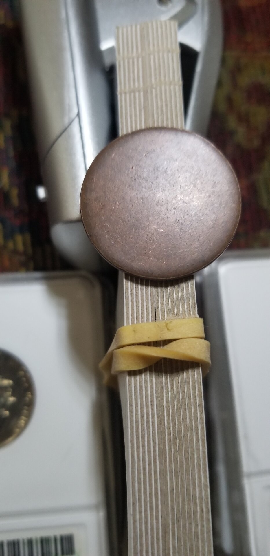 20220630_155800.jpg