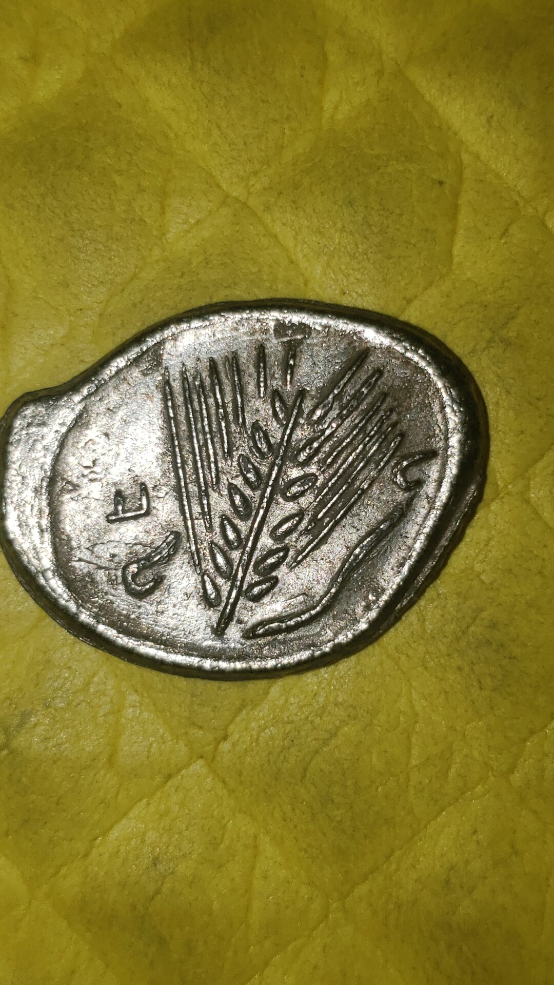 20220707_161148.jpg