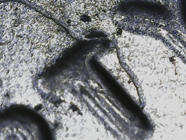 20220712_19_25_40.png