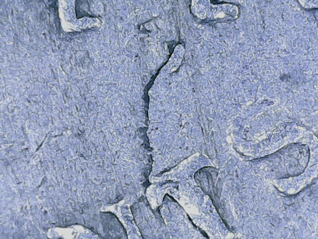 20220726_15_03_23.png