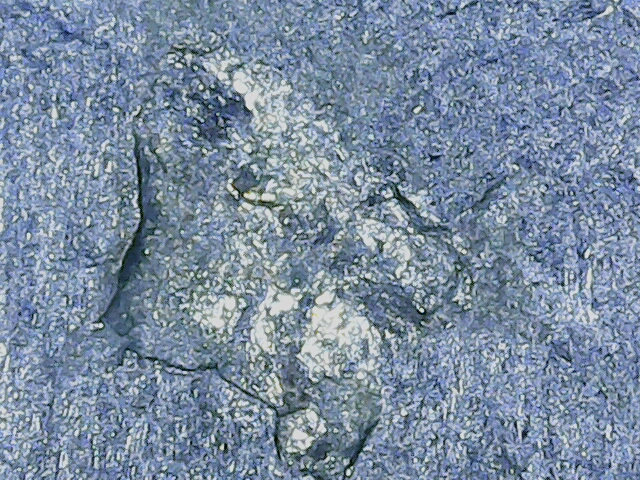 20220726_15_56_23.png
