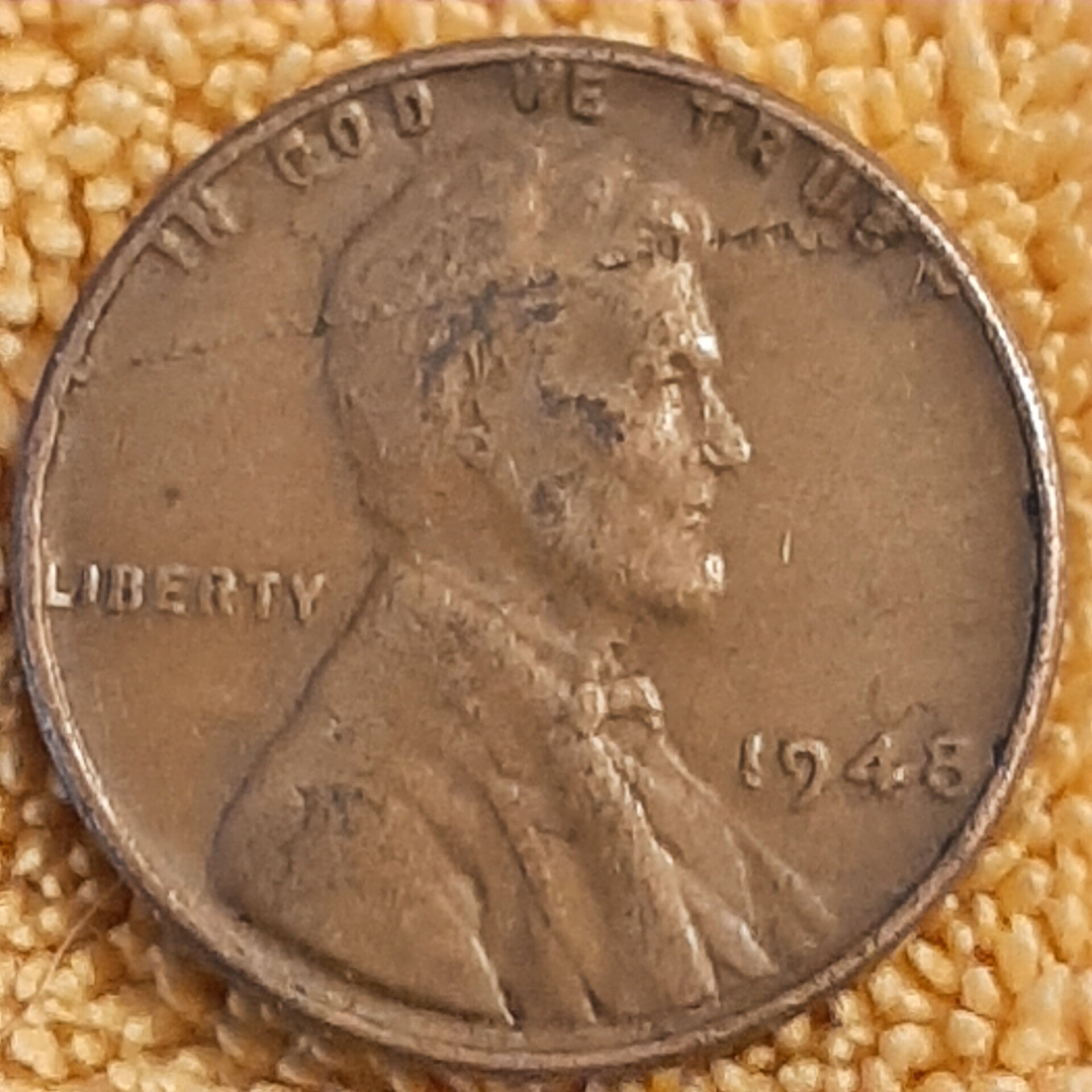 20220727_141152.jpg