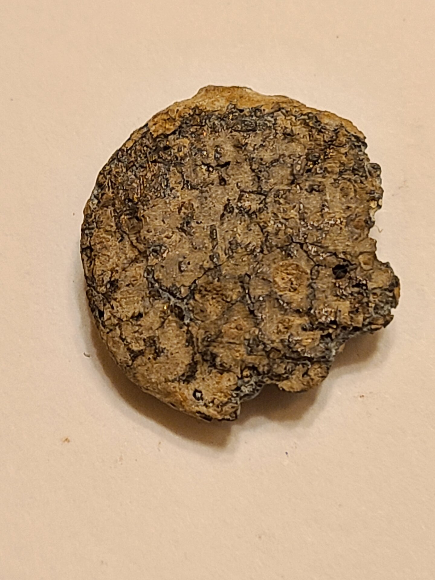20220729_061734.jpg