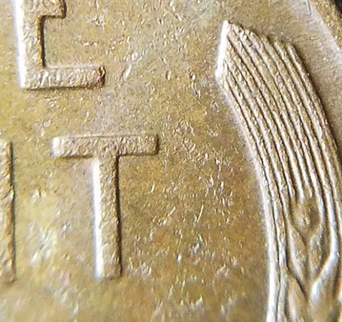 20220729_200551.jpg