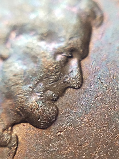 20220729_201343.jpg