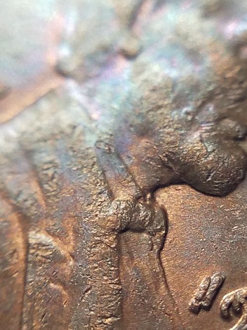 20220729_201346.jpg