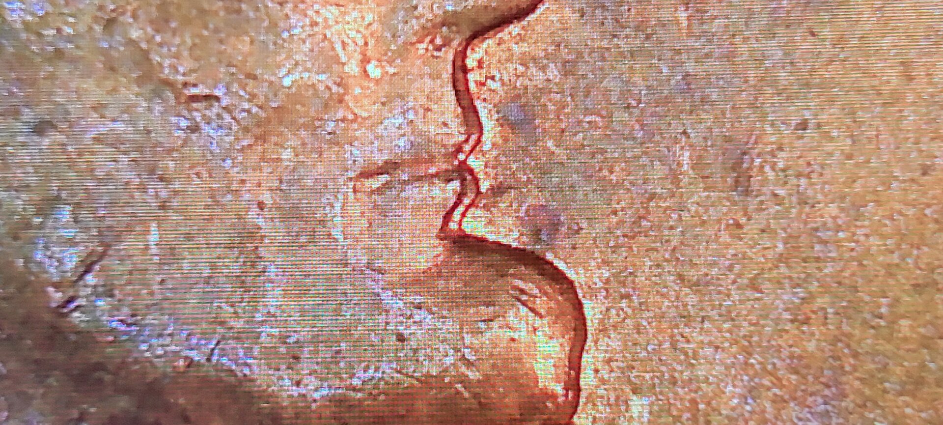 20220803_144505.jpg