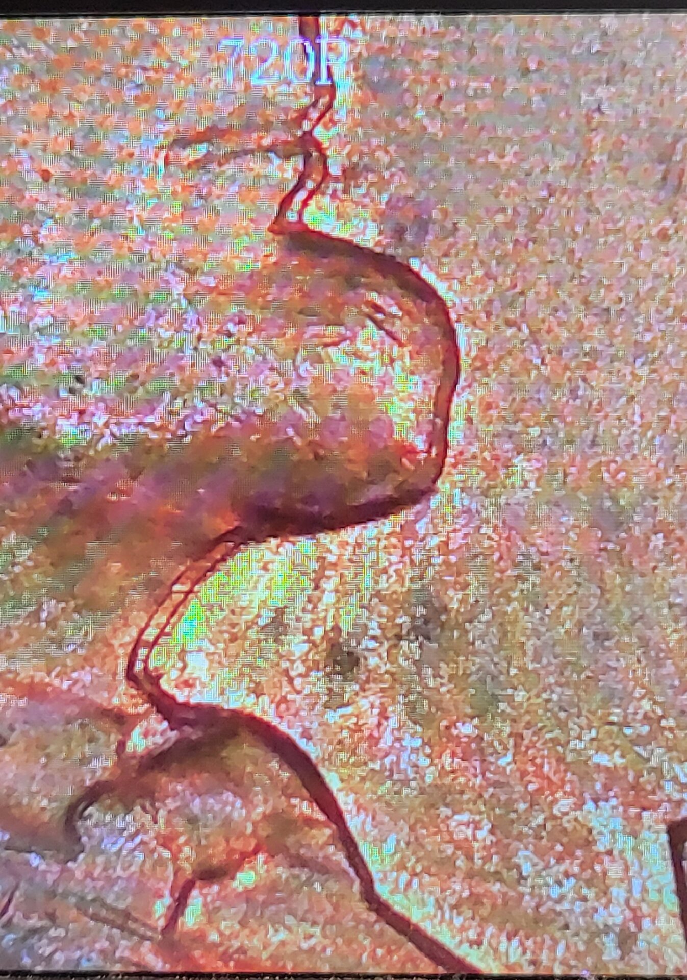 20220803_144520.jpg