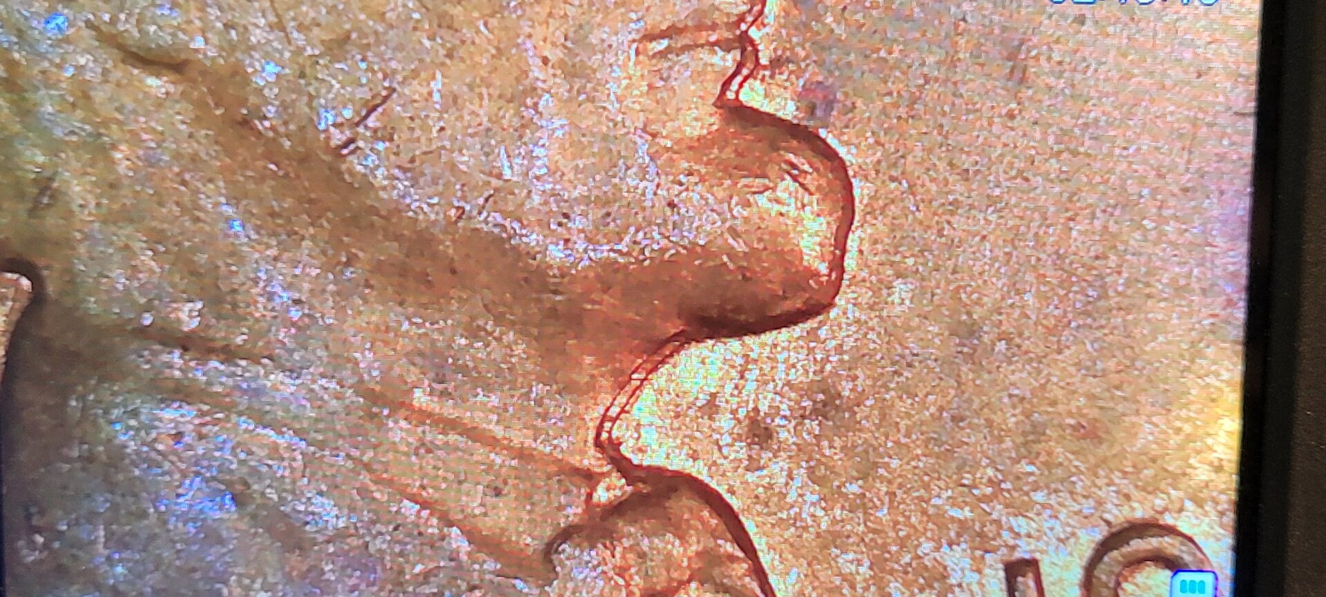 20220803_144528.jpg