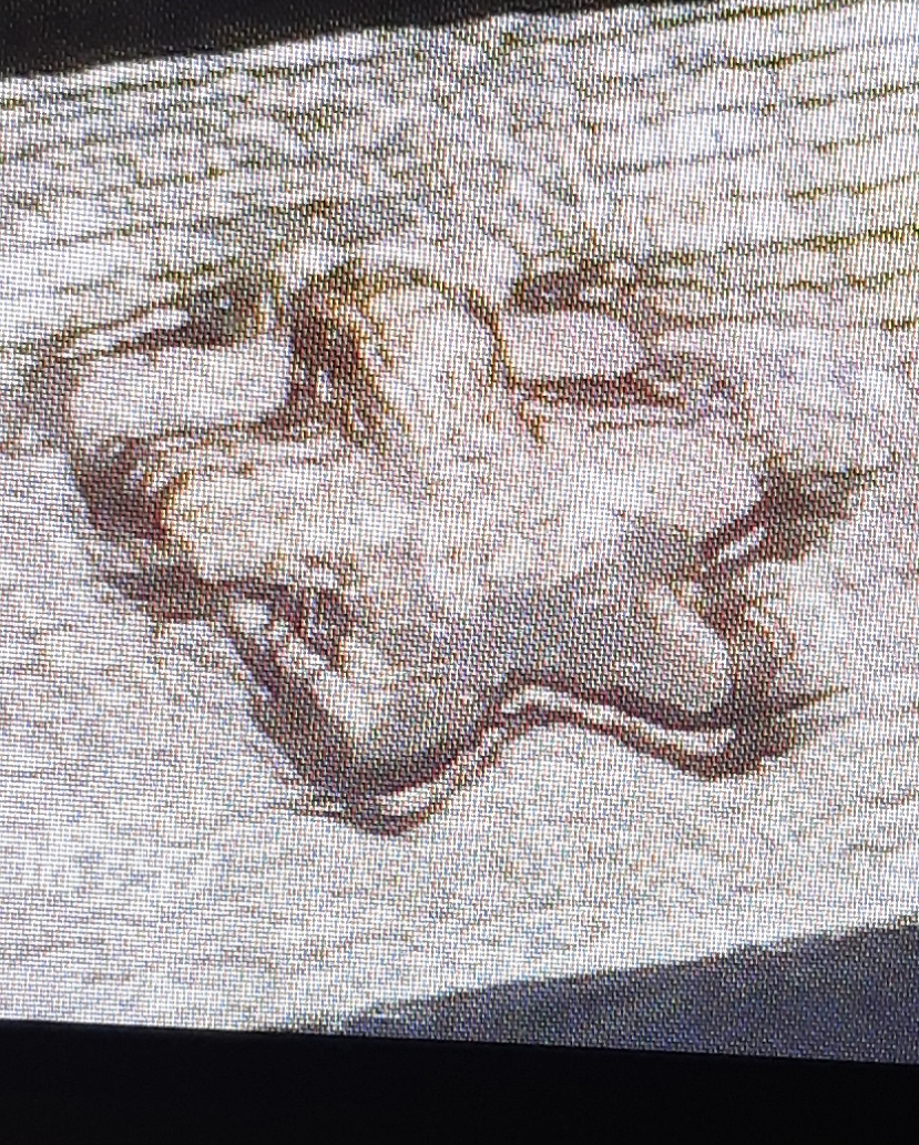 20220804_172643.jpg