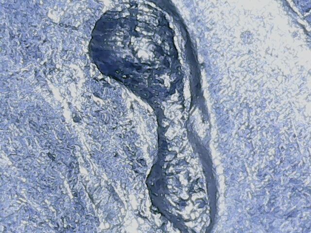20220804_19_23_13.png