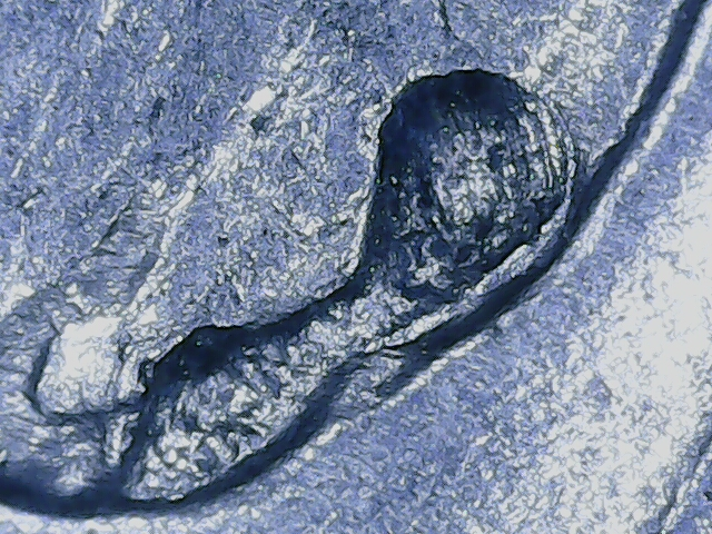 20220804_19_23_55.png